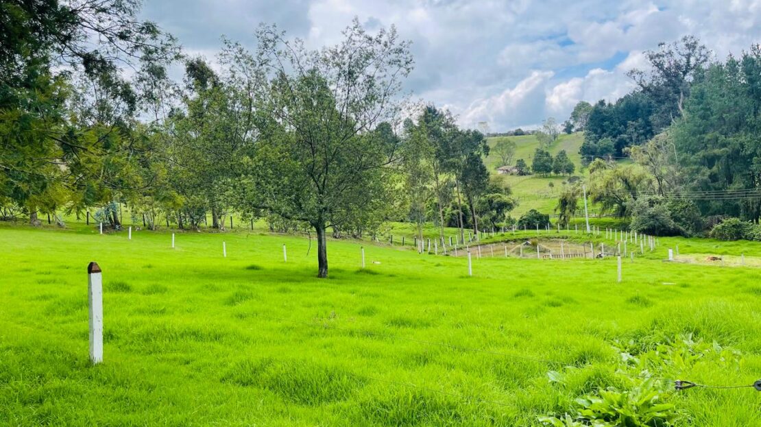 WhatsApp Image 2024 08 28 at 12.47.05