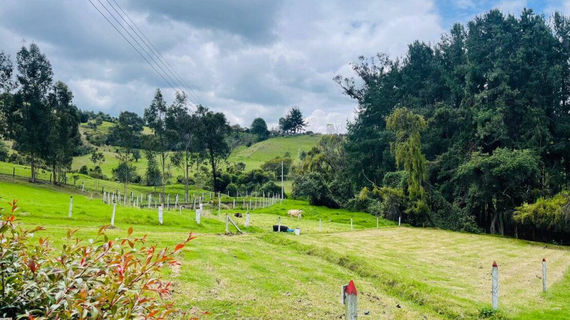 WhatsApp Image 2024 08 28 at 12.47.05 3