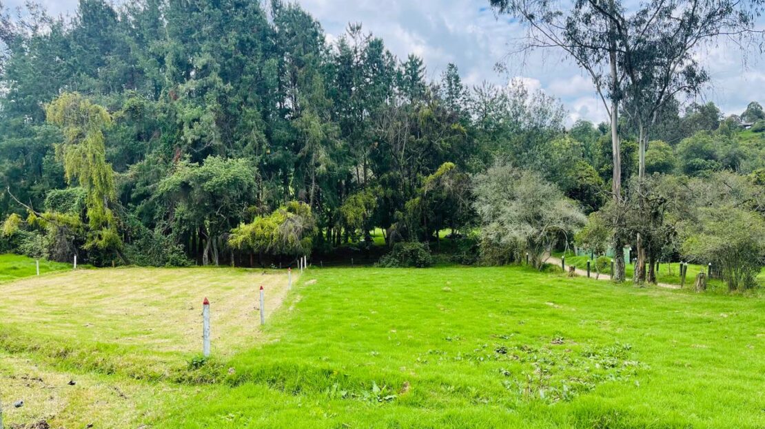 WhatsApp Image 2024 08 28 at 12.47.06