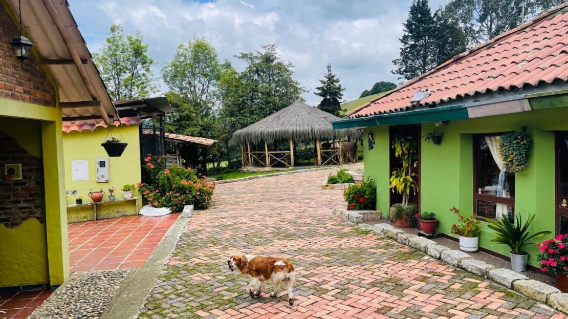 WhatsApp Image 2024 08 28 at 12.47.06 2