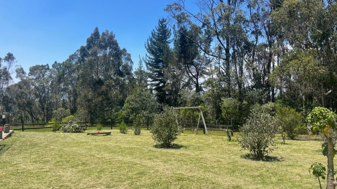 WhatsApp Image 2024 09 07 at 11.31.55