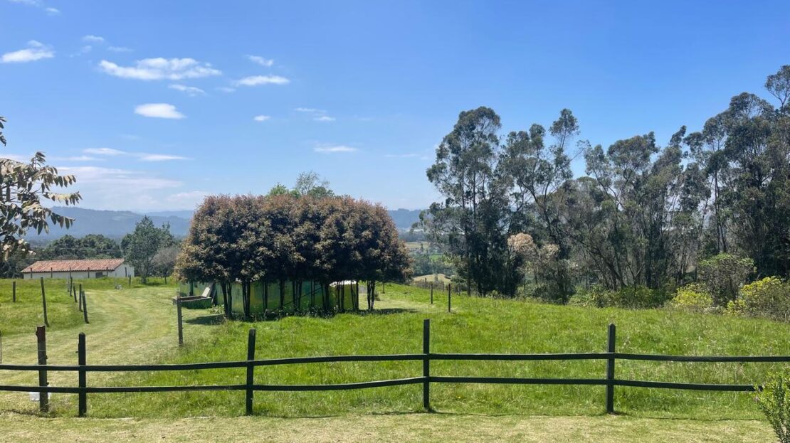 WhatsApp Image 2024 09 07 at 11.31.55 2