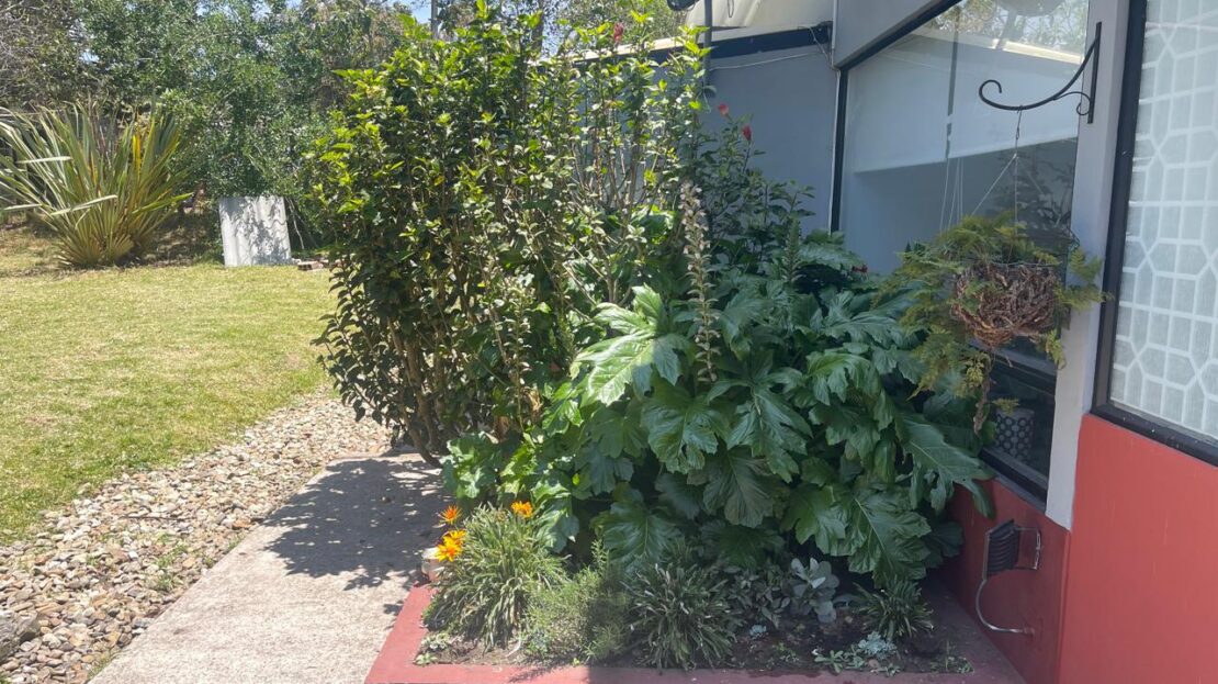 WhatsApp Image 2024 09 07 at 11.31.56