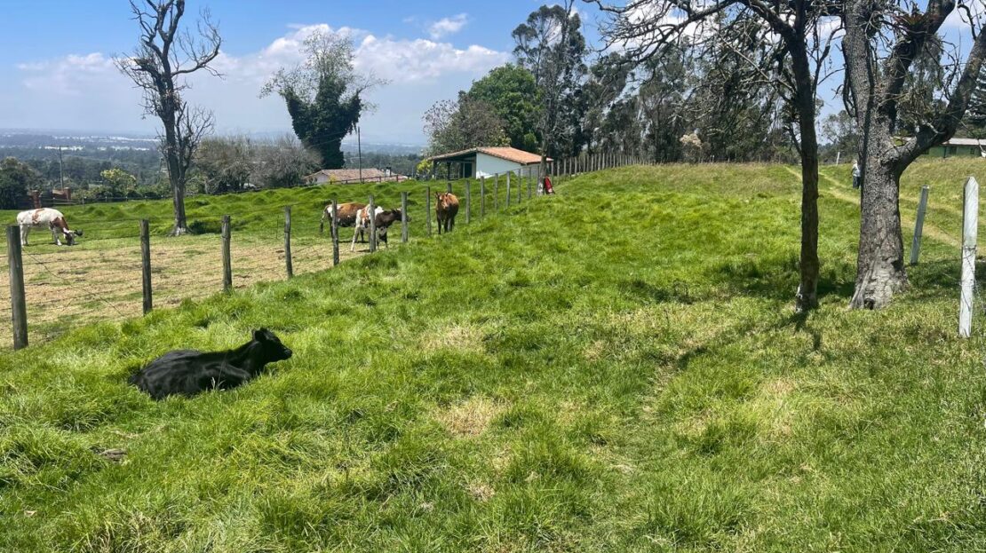 WhatsApp Image 2024 10 15 at 09.40.52