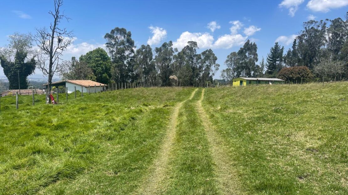 WhatsApp Image 2024 10 15 at 09.40.53 1