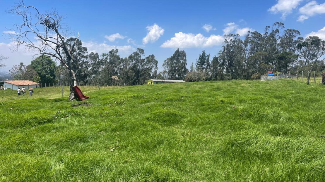 WhatsApp Image 2024 10 15 at 09.40.53 2