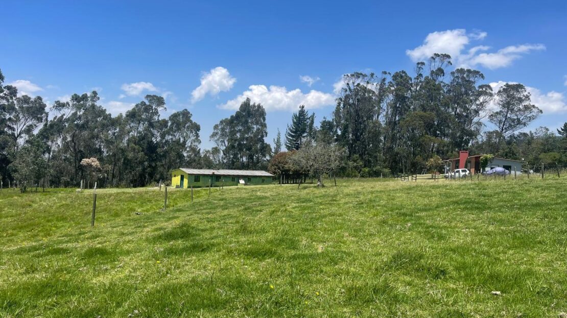 WhatsApp Image 2024 10 15 at 09.40.53 3