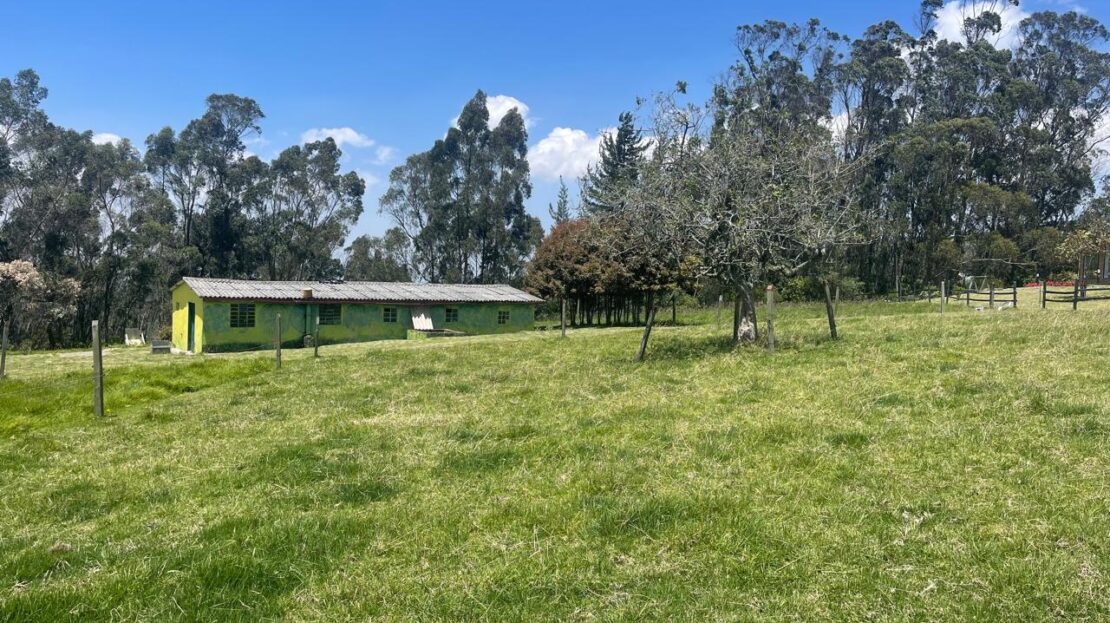 WhatsApp Image 2024 10 15 at 09.40.54 1