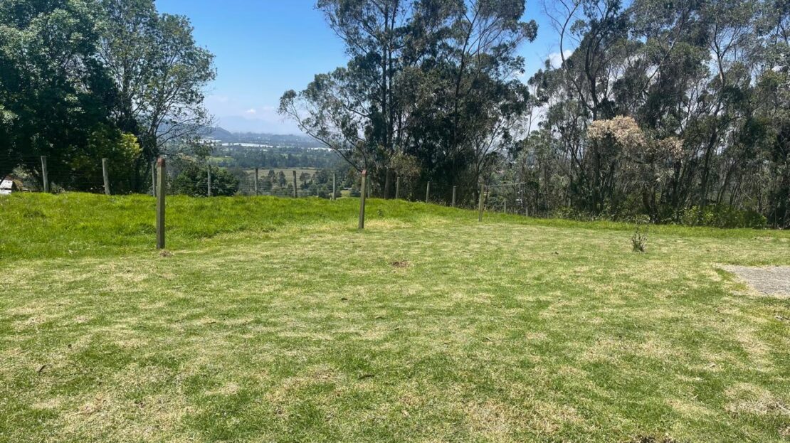 WhatsApp Image 2024 10 15 at 09.40.54 2