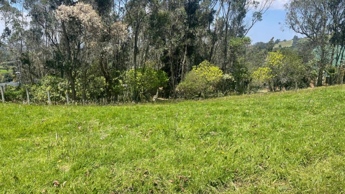 WhatsApp Image 2024 10 15 at 09.40.54 3