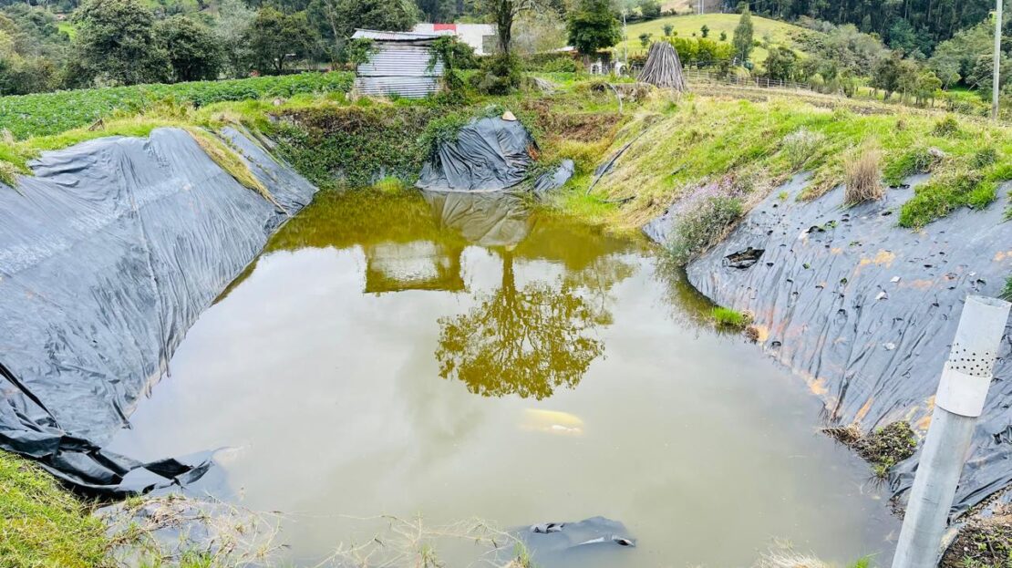 WhatsApp Image 2024 11 15 at 15.43.16 1