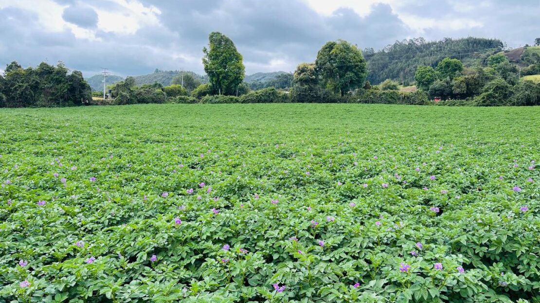 WhatsApp Image 2024 11 15 at 15.43.16 14