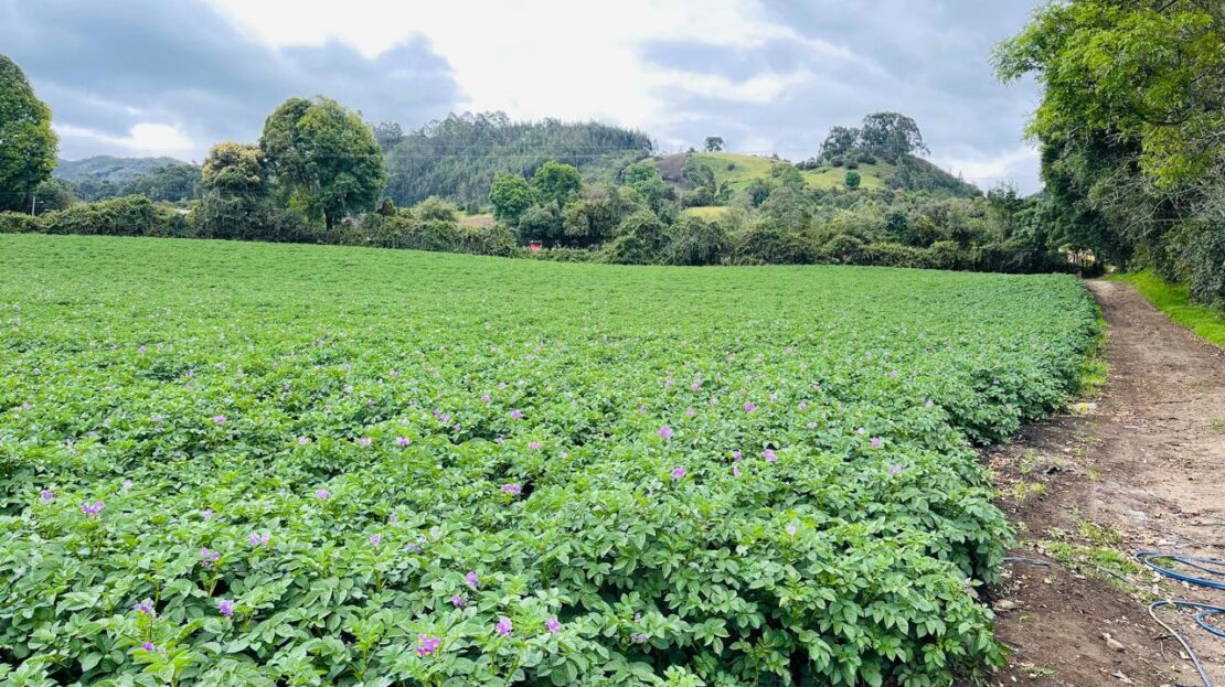 WhatsApp Image 2024 11 15 at 15.43.16 15