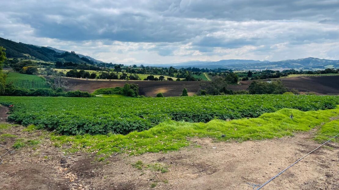 WhatsApp Image 2024 11 15 at 15.43.16 16