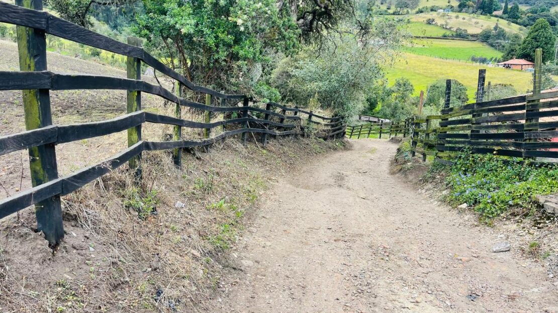 WhatsApp Image 2024 11 15 at 15.43.16 3