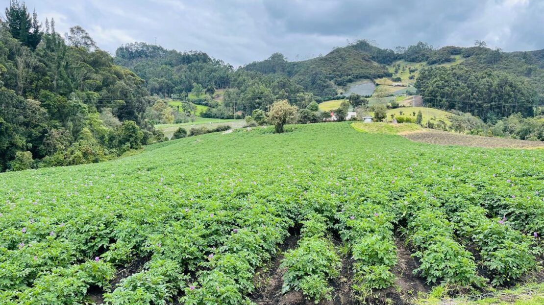 WhatsApp Image 2024 11 15 at 15.43.16 4