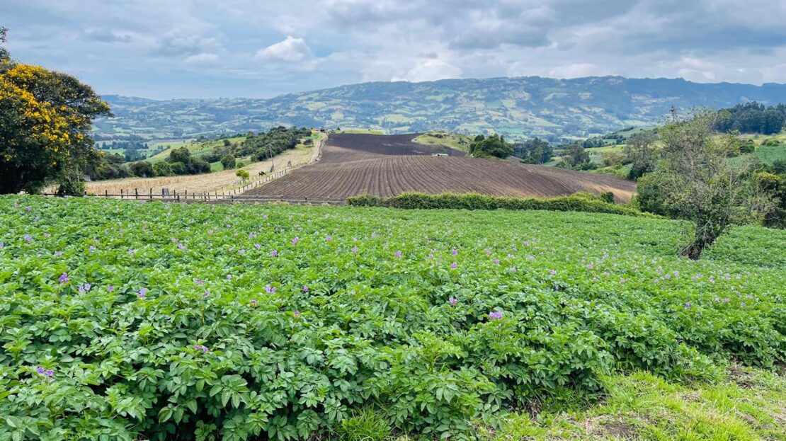 WhatsApp Image 2024 11 15 at 15.43.16 5