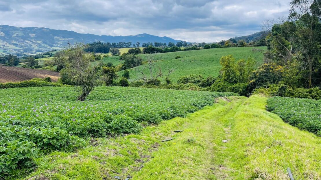 WhatsApp Image 2024 11 15 at 15.43.16 6