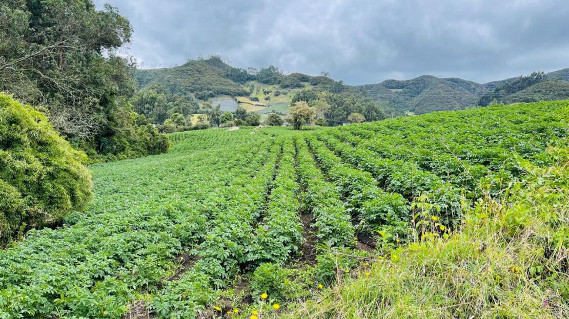 WhatsApp Image 2024 11 15 at 15.43.16 7