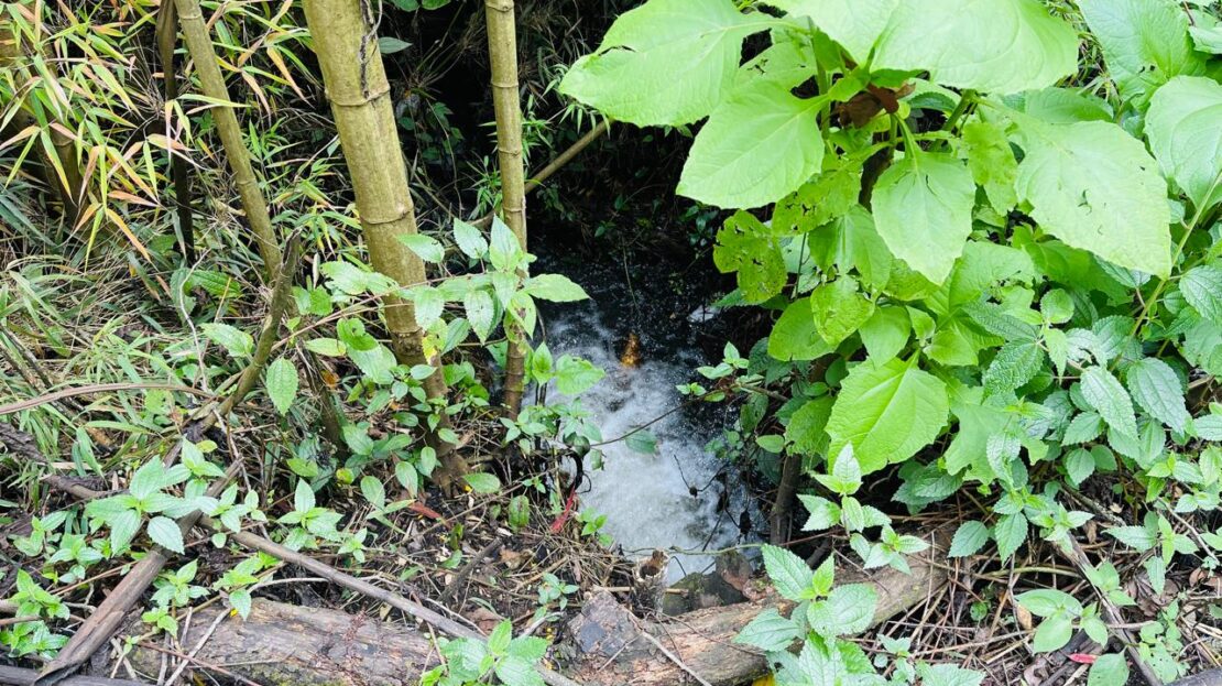 WhatsApp Image 2024 11 15 at 15.43.16 8