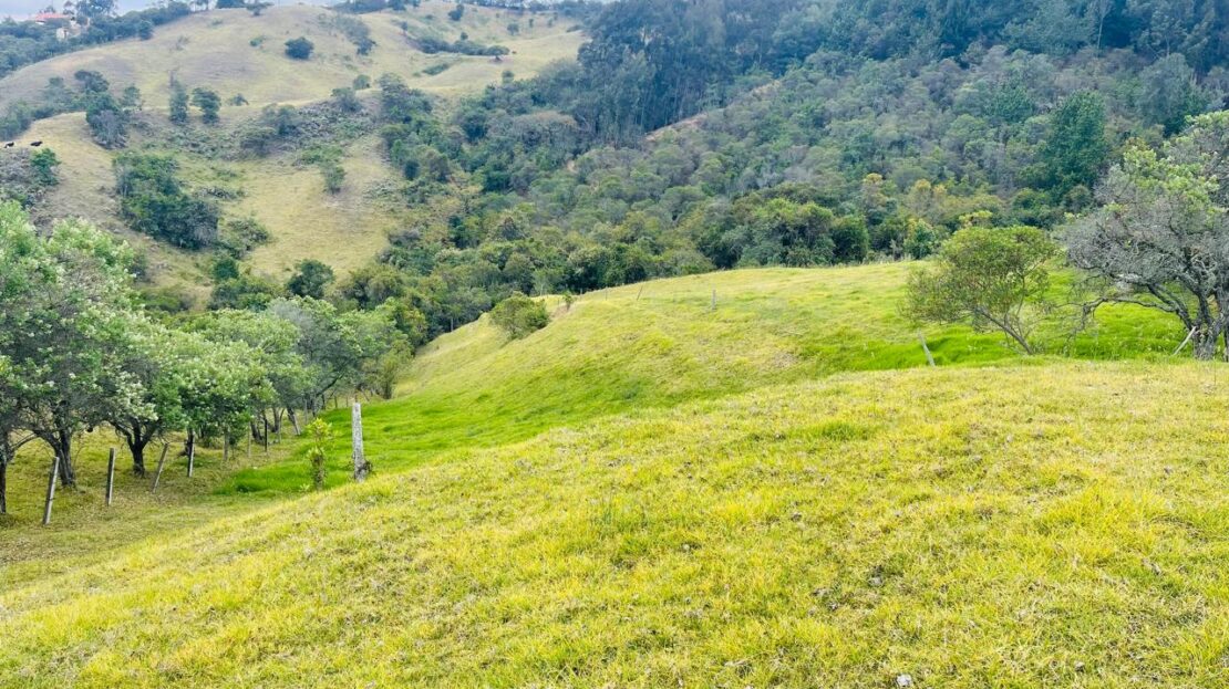 WhatsApp Image 2024 11 15 at 17.21.54