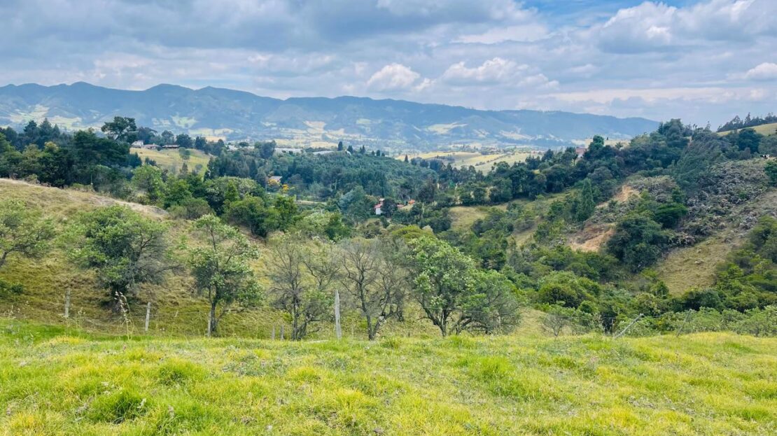 WhatsApp Image 2024 11 15 at 17.21.54 3