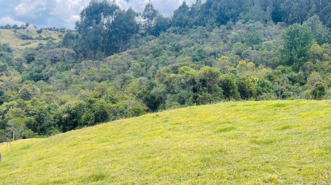 WhatsApp Image 2024 11 15 at 17.21.54 4