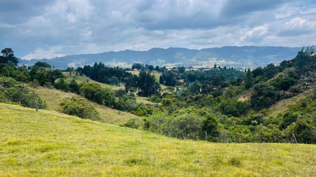 WhatsApp Image 2024 11 15 at 17.21.54 6