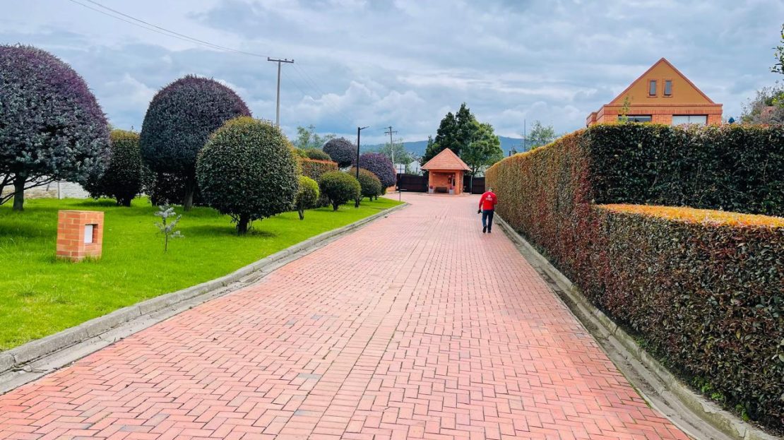 WhatsApp Image 2024 11 26 at 19.54.52