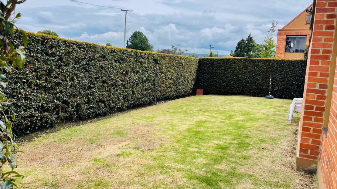 WhatsApp Image 2024 11 26 at 19.54.53 3