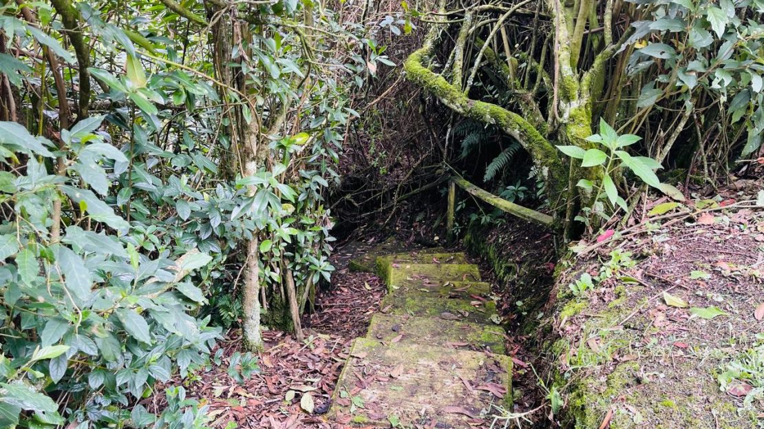 WhatsApp Image 2024 11 26 at 22.04.05 1