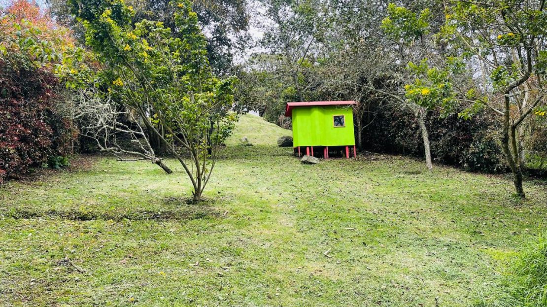 WhatsApp Image 2024 11 26 at 22.04.05