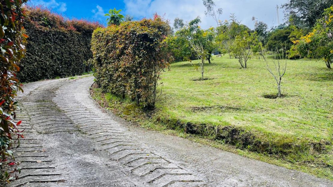 WhatsApp Image 2024 11 26 at 22.04.05 13