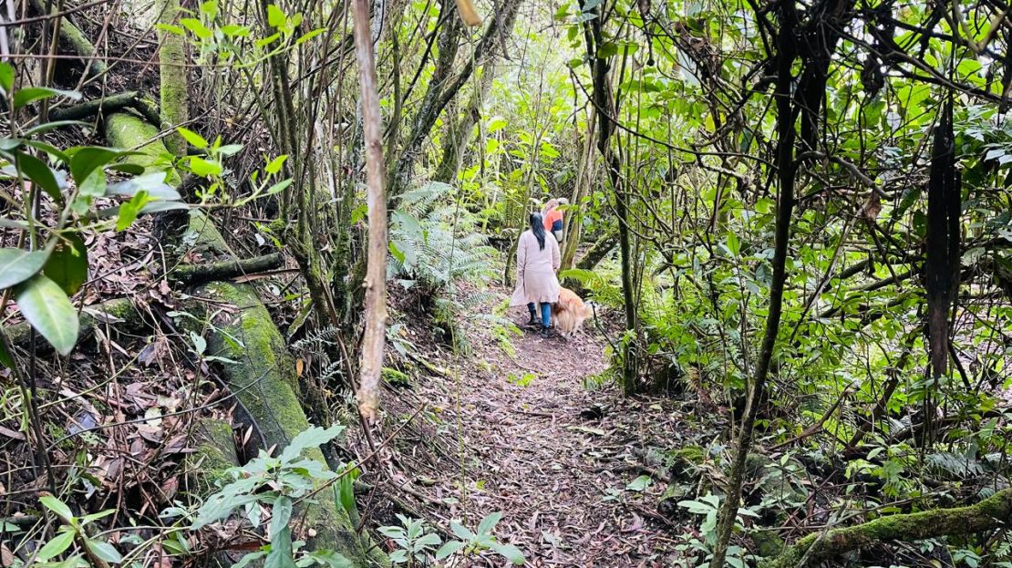 WhatsApp Image 2024 11 26 at 22.04.05 2