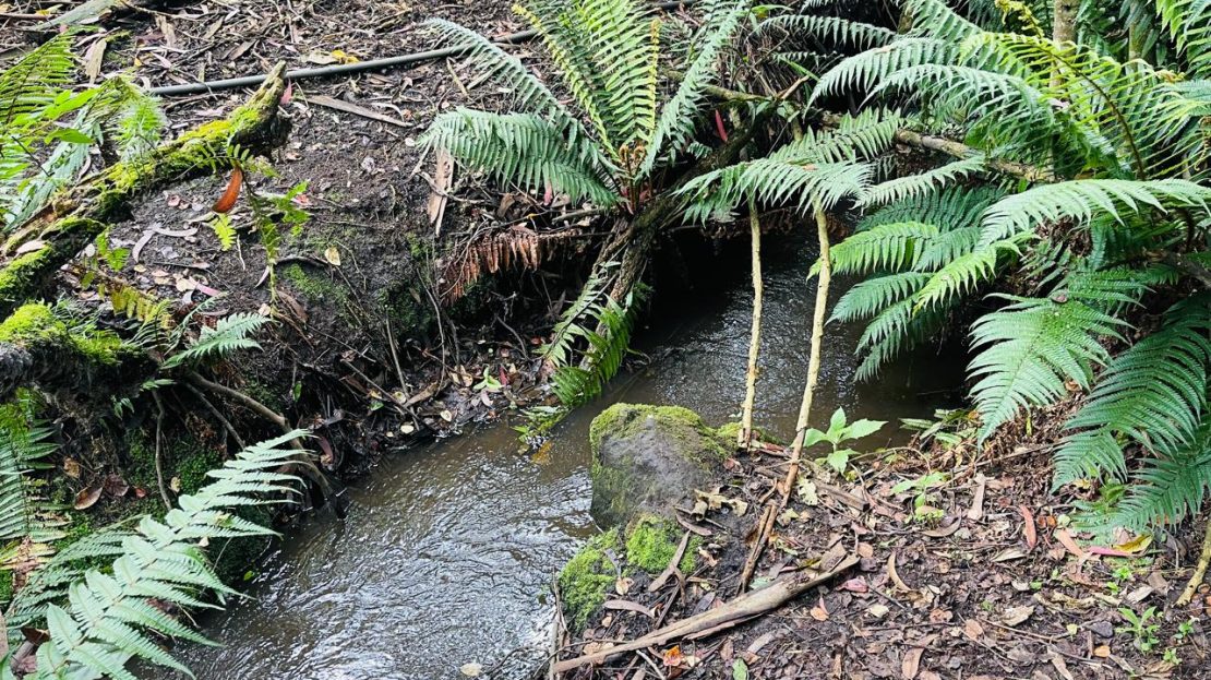 WhatsApp Image 2024 11 26 at 22.04.05 3