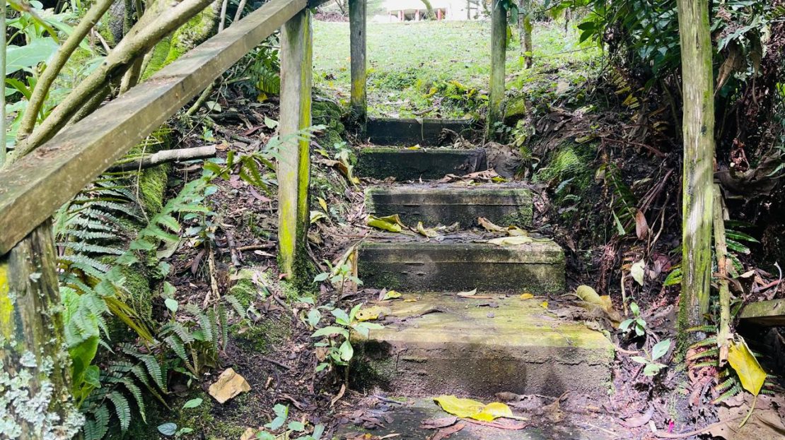 WhatsApp Image 2024 11 26 at 22.04.05 4