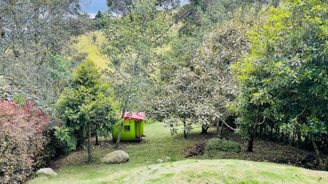 WhatsApp Image 2024 11 26 at 22.04.05 6