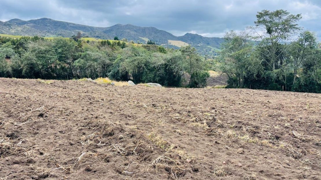 WhatsApp Image 2024 11 26 at 22.30.31 1