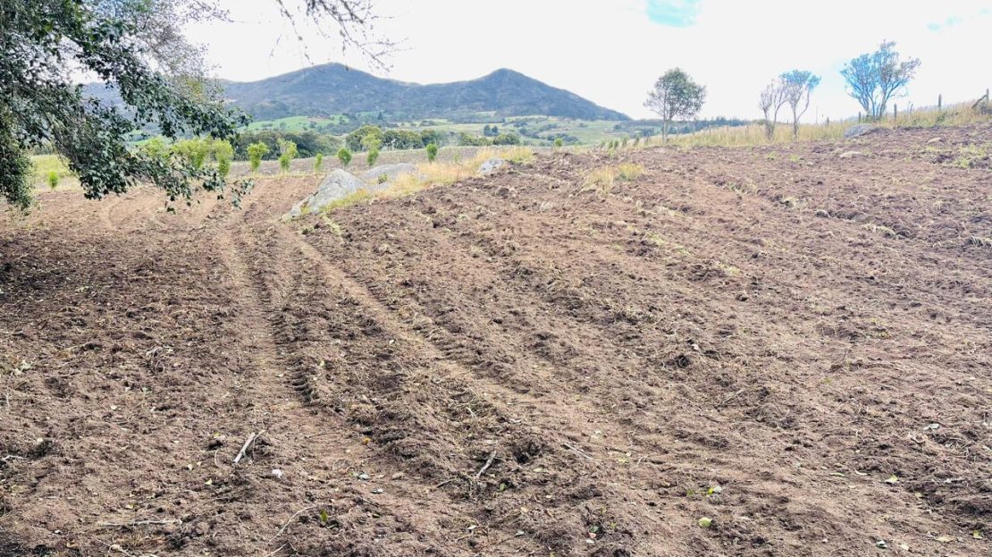 WhatsApp Image 2024 11 26 at 22.30.31 10