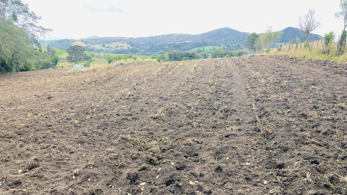 WhatsApp Image 2024 11 26 at 22.30.31 12