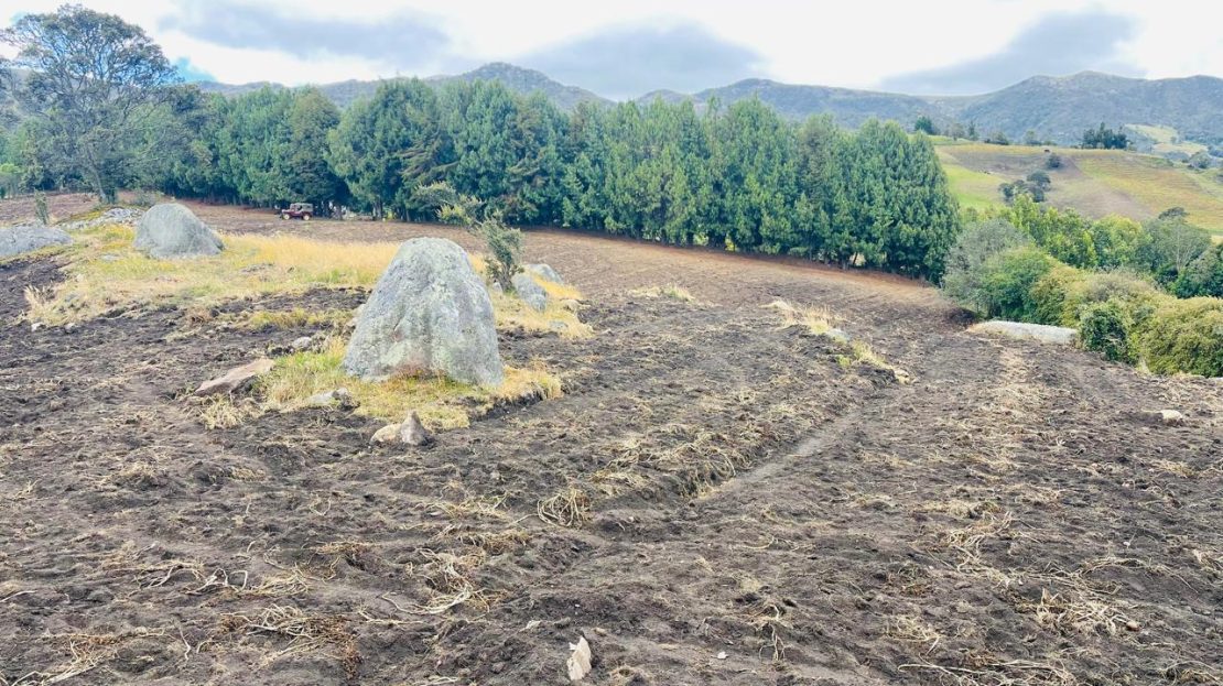 WhatsApp Image 2024 11 26 at 22.30.31 13