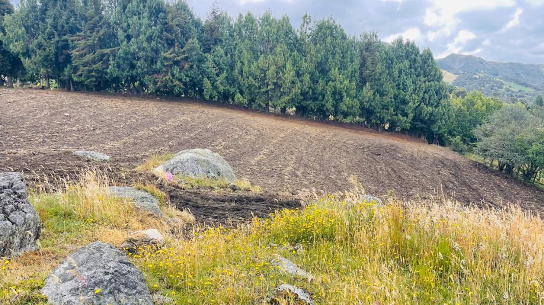 WhatsApp Image 2024 11 26 at 22.30.31 15