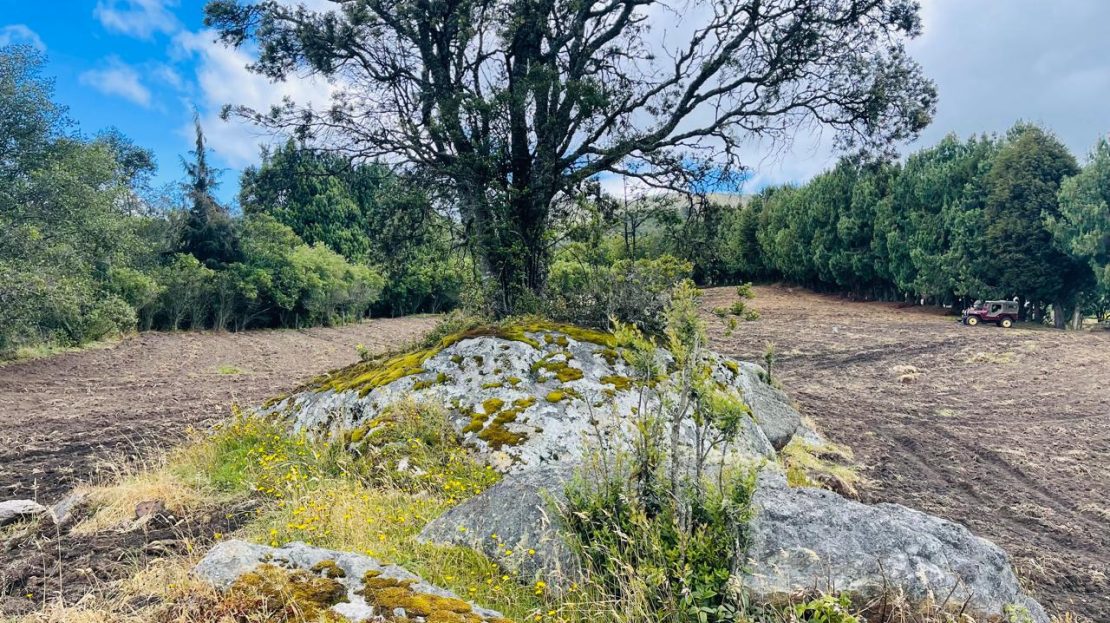 WhatsApp Image 2024 11 26 at 22.30.31 16