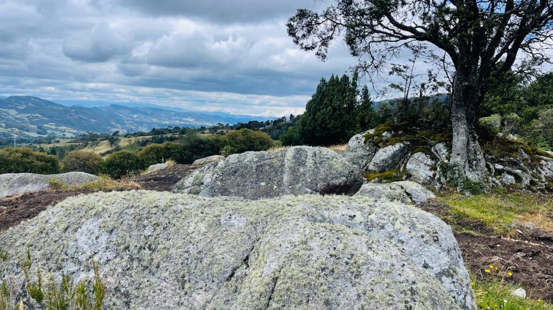 WhatsApp Image 2024 11 26 at 22.30.31 17