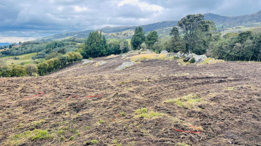 WhatsApp Image 2024 11 26 at 22.30.31 3