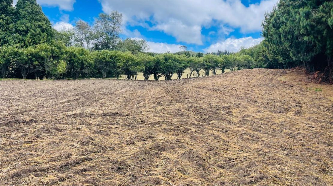 WhatsApp Image 2024 11 26 at 22.30.31 4