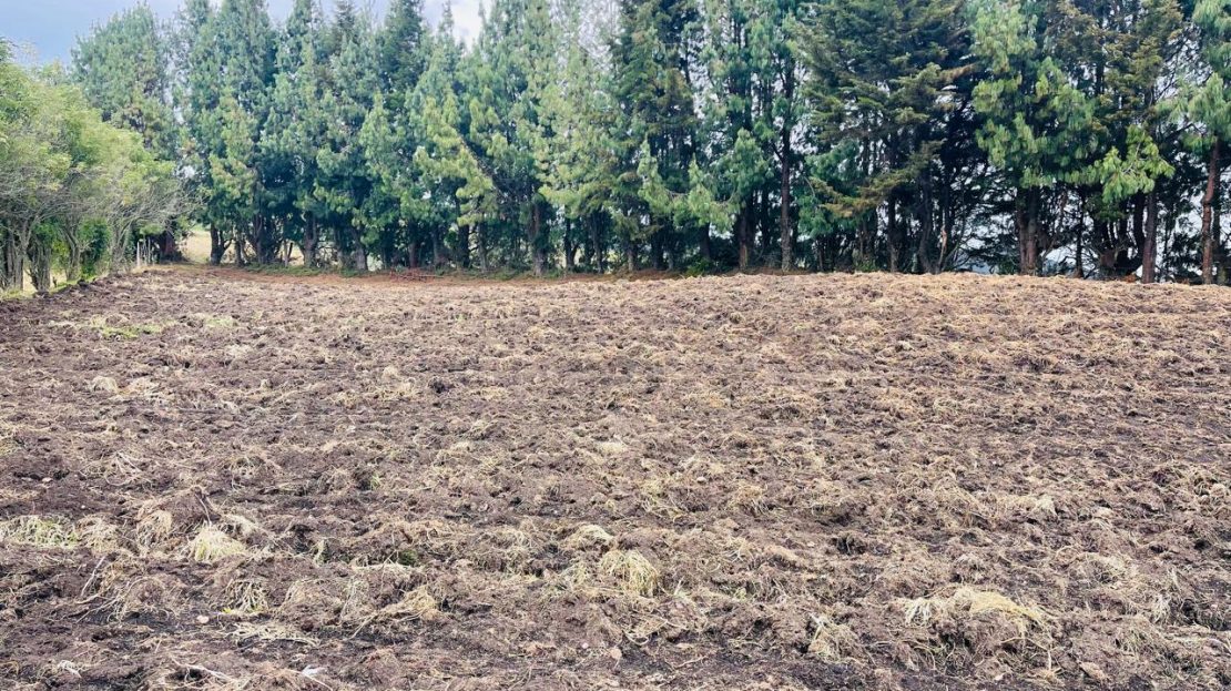 WhatsApp Image 2024 11 26 at 22.30.31 6