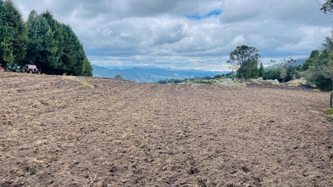 WhatsApp Image 2024 11 26 at 22.30.31 7