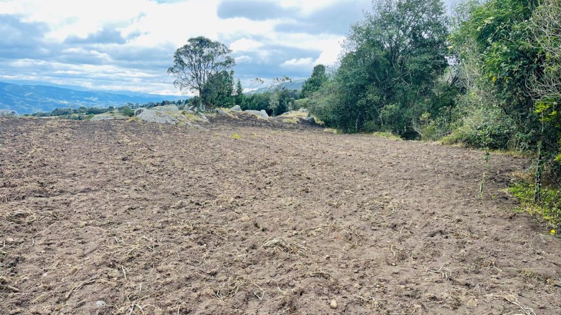 WhatsApp Image 2024 11 26 at 22.30.31 8