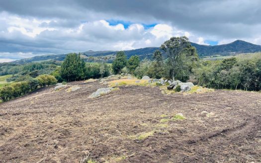 WhatsApp Image 2024 11 26 at 22.30.32 1